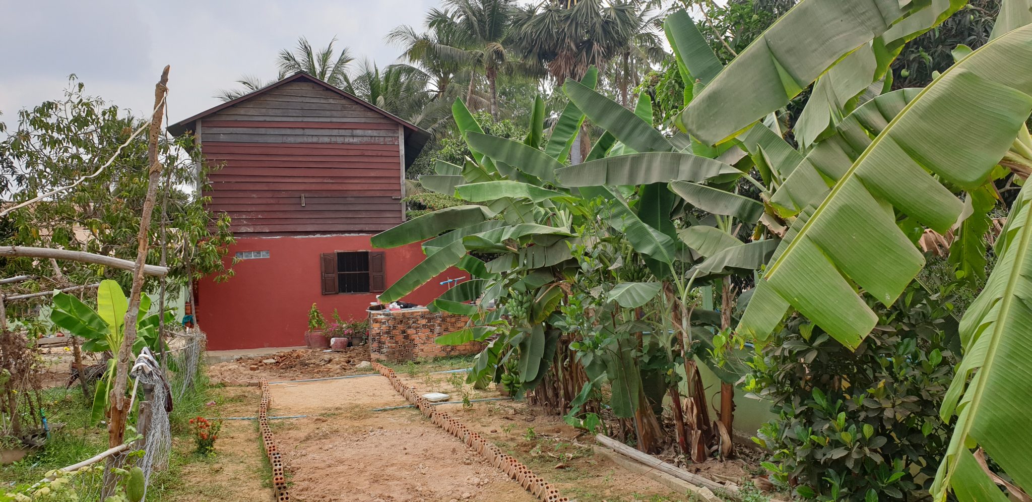 zicht op de tuin met bananenbomen